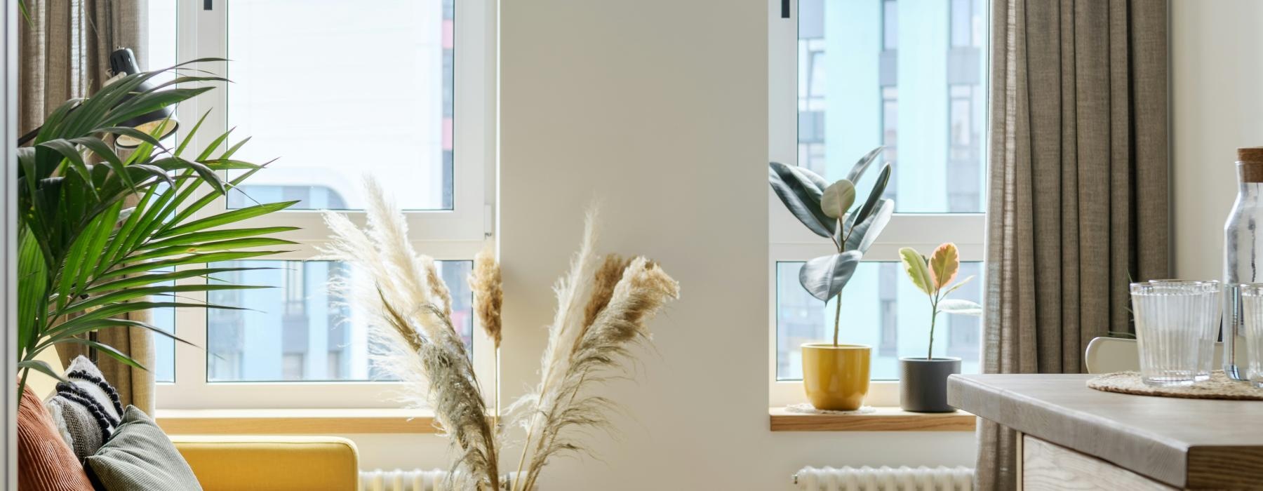 a room with a window and a rug and a table with a plant